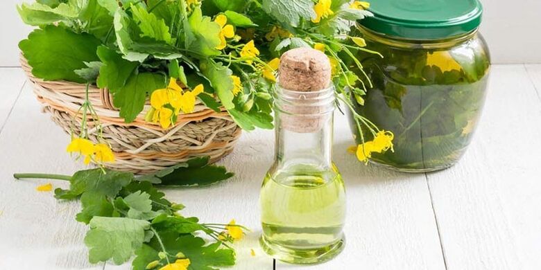 treatment of toenail fungus with celandine decoction